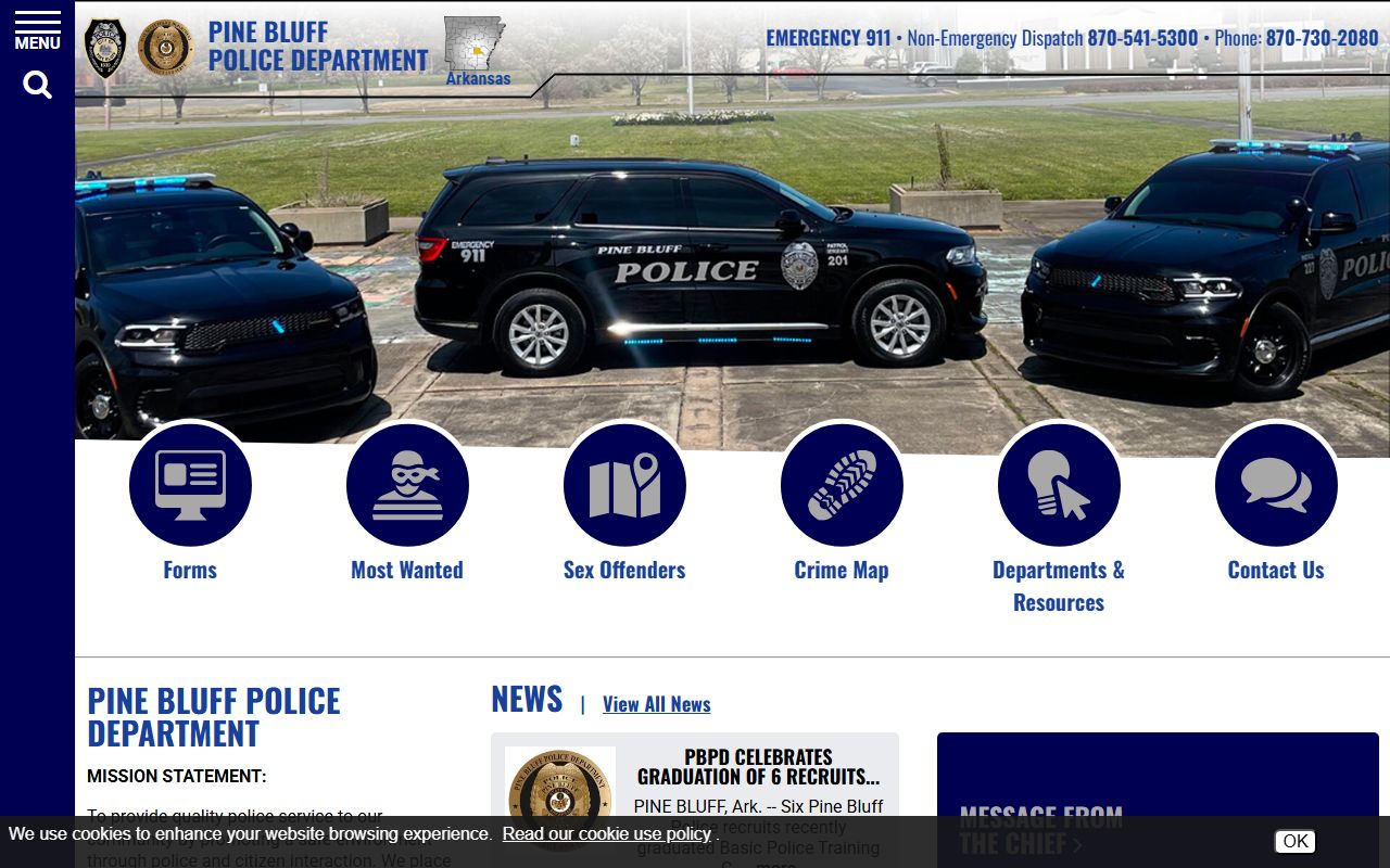 Pine Bluff Police Department inmate population page